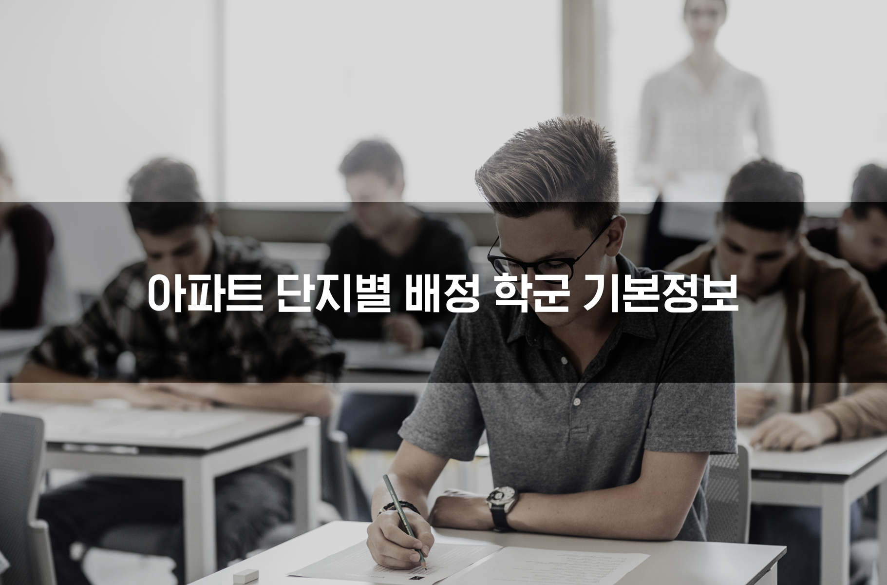 '아파트 단지별 배정 학군 기본정보'상품 썸네일 이미지