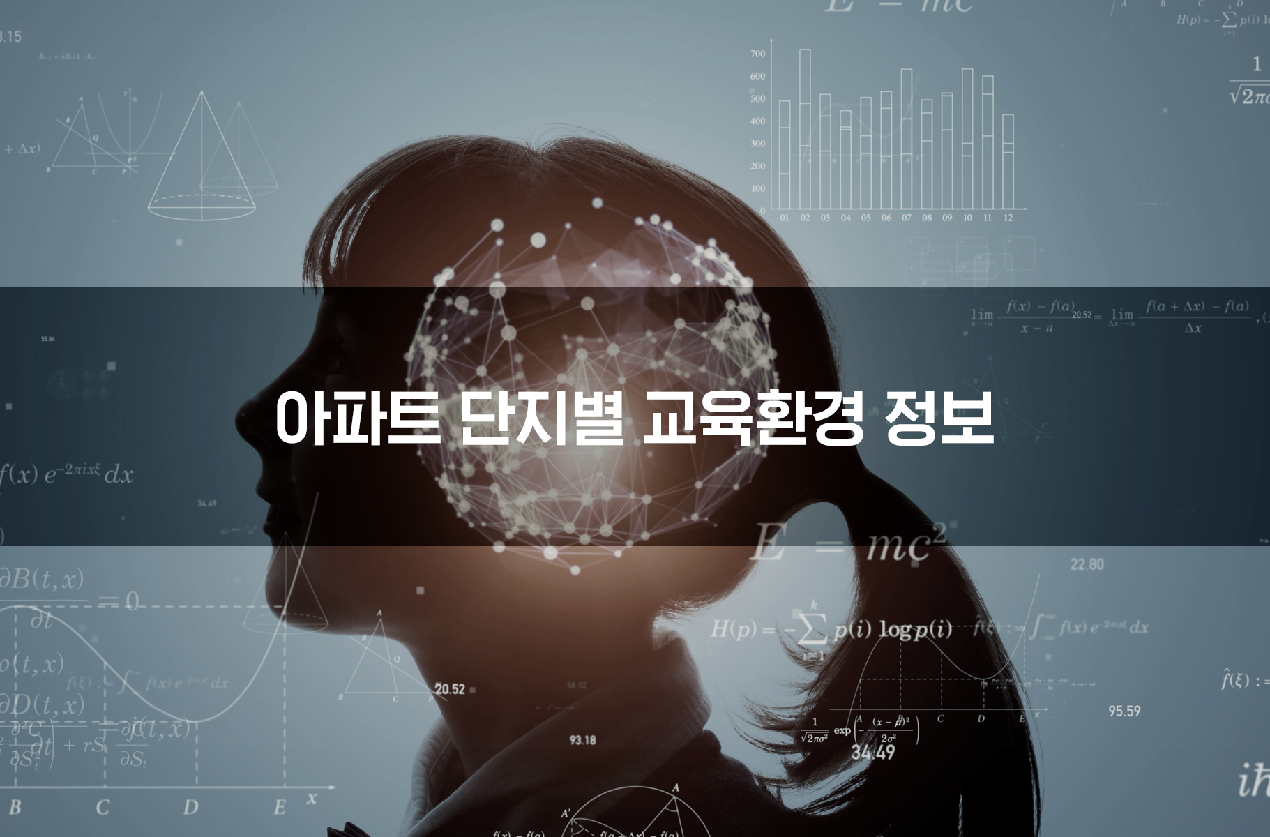 '아파트 단지별 교육환경 정보'상품 썸네일 이미지