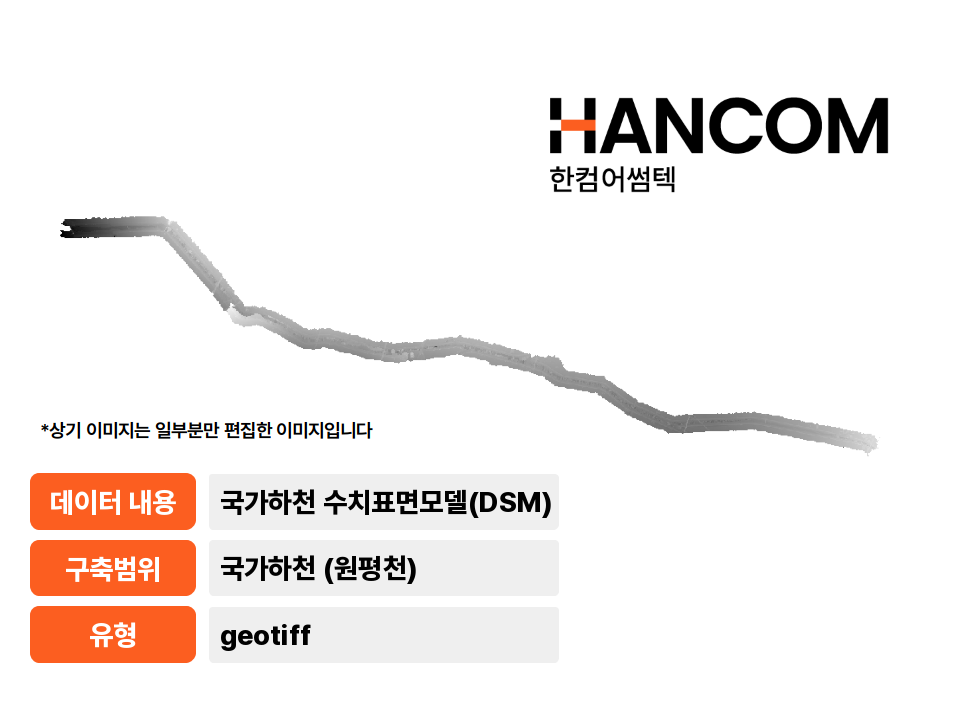 '국가하천(원평천) 수치표면모델(DSM)'상품 썸네일 이미지